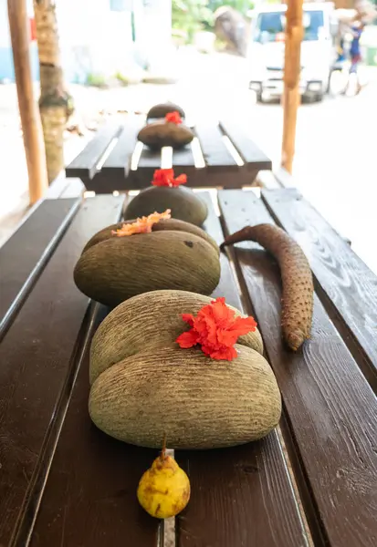 Coco de Mer tohumları ve erkek şişkinliği, Seyşeller adalarının eşsiz bitki örtüsü ve kültürel kimliğini sembolize eden ahşap bir masanın üzerinde amber çiçekleri ile sergilenir.