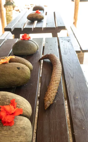 Coco de Mer tohumları ve erkek şişkinliği, Seyşeller adalarının eşsiz bitki örtüsü ve kültürel kimliğini sembolize eden ahşap bir masanın üzerinde amber çiçekleri ile sergilenir.