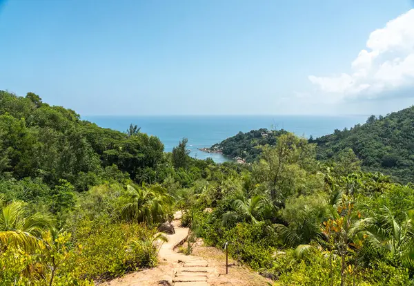 Praslin Adası, Seyşeller 'deki Fond Ferdinand Doğa Koruma Alanındaki tropik yürüyüş yolu, okyanus manzarası ve çevreleyen yeşilliklerle dolu yemyeşil bir dağ yamacına çıkıyor.