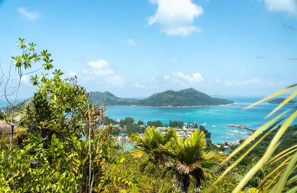 Praslin Adası, Seyşeller 'deki tropikal bir tepeden gün ortası manzarası. Hint Okyanusu, marinası ve parlak güneş ve mavi gökyüzünün altında yeşil yapraklar.