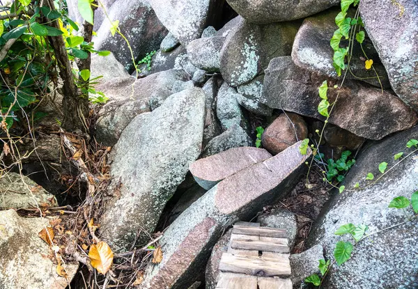 La Digue Adası, Seyşeller 'deki granit kayalar, sarmaşıklar ve tropikal bitki örtüsüyle zorlu kayalık patikalar turistleri tenha bir sahil barına doğru götürüyor.