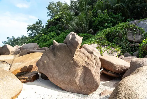 Seyşeller adasındaki yemyeşil tropikal ormanlara karşı beyaz kumlu sahildeki devasa granit kaya kütlesi doğal şekilleri ve kıyı manzarasını gözler önüne seriyor.