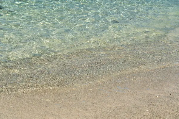 Seyşeller 'deki La Digue Adası sahilindeki ince mercan kumu üzerinde parıldayan güneş ışığı yansımalarıyla berrak, sığ okyanus suyu doğal, ışıl ışıl bir doku yaratır.