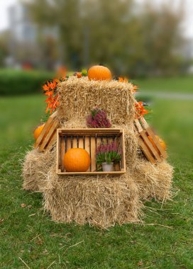 Balkabağı Cadılar Bayramı Dekorasyonu, Kabak Çiftliği, Portakal Şükran Günü Sebze Yığını Çimenli Sonbahar Kredisi, Balkabağı Cadılar Bayramı Dokusu Geçmişi