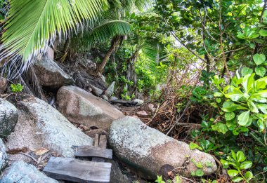 La Digue Adası 'ndan Rond Adası ve Hint Okyanusu manzarası, Seyşeller, tropikal bitki örtüsü, palmiye ağaçları, kıyı şeridi ve parçalı bulutlu gökyüzü altında sakin mavi su