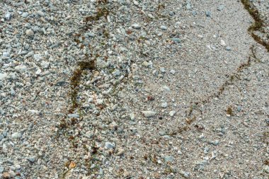 Sahil kumları, mercan parçaları, deniz kabukları, küçük taşlar ve Seyşeller kıyılarında yıkanmış deniz yamaçları doğal pürüzlü dokular ve okyanus girişleri oluşturur.