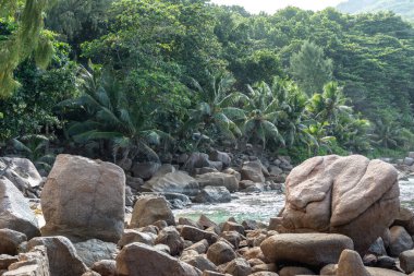 La Digue Adası manzaralı, Seyşeller, kayalık bir kıyı şeridi, tropikal palmiye ağaçları, yemyeşil orman, ve küçük körfez boyunca yumuşak okyanus dalgaları.