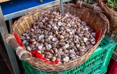 Deniz ürünleri pazarında içi salyangoz dolu bir sepet. Geleneksel yerel lezzet indirimde