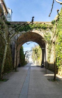 Zumaia, İspanya, 4 Nisan 2024: Taş kemer ve budanmış ağaçlar Zumaia, Gipuzkoa 'da, bahar güneşinin altında ve sarmaşık kaplı duvarların altında, editoryal görüntü altında dar bir yaya tüneli çiziyor