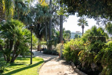 Palermo, İtalya, 18 Kasım 2024: Palermo 'daki Lush Norman Palace Garden tropikal palmiyeler, eğrelti otları, çalılar ve parlak Akdeniz ışığı altında dolambaçlı bir yol, editoryal görüntü