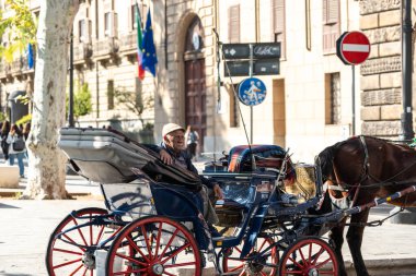 Palermo, İtalya, 18 Kasım 2024: Tarihi bir Palermo caddesinde at arabası ve arabacı Sicilya 'nın göbeğinde şehir turları düzenliyor.