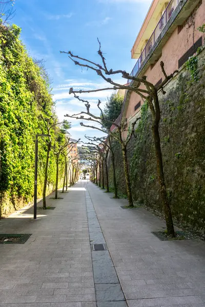 Zumaia, İspanya, 4 Nisan 2024: Zumaia, Gipuzkoa 'da budanmış ağaçların ve taş duvarların bulunduğu dar bir yaya yolu, ilkbahar güneşi ışığı ve sessiz simetri ile kaplı, editoryal görüntü
