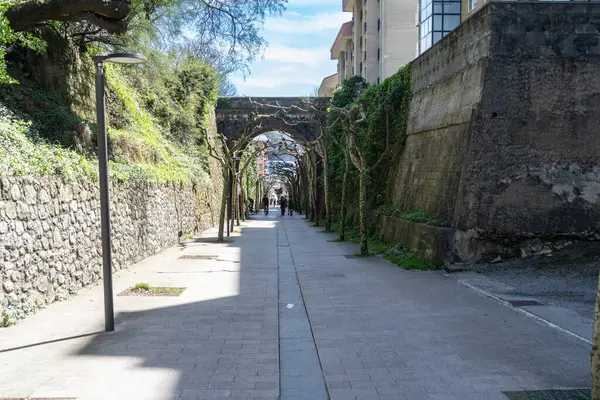 Zumaia, İspanya, 4 Nisan 2024: Taş duvarlar ve budanmış ağaçlar, Zumaia, Bask Ülkesi, İspanya 'da kemer ve gölgeli manzaralı bir yaya geçidi oluşturur.