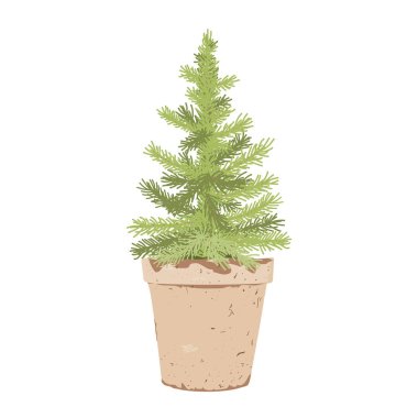 Beyaz arka planda izole edilmiş Noel ağacı. Çömlek çamı ya da köknar ağacı çizimi beyaza izole edilmiş.