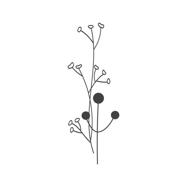 Doodle Växter Beskriver Minimalistisk Sammansättning Abstrakt Bakgrund Med Minimala Blommiga — Stock vektor