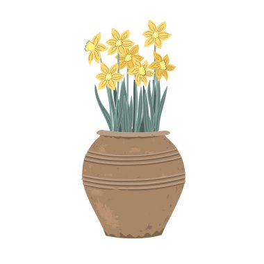 Potted Daffodil plant. First Spring Flowers in a vintage clay pot. Vector illustration isolated on a white background.