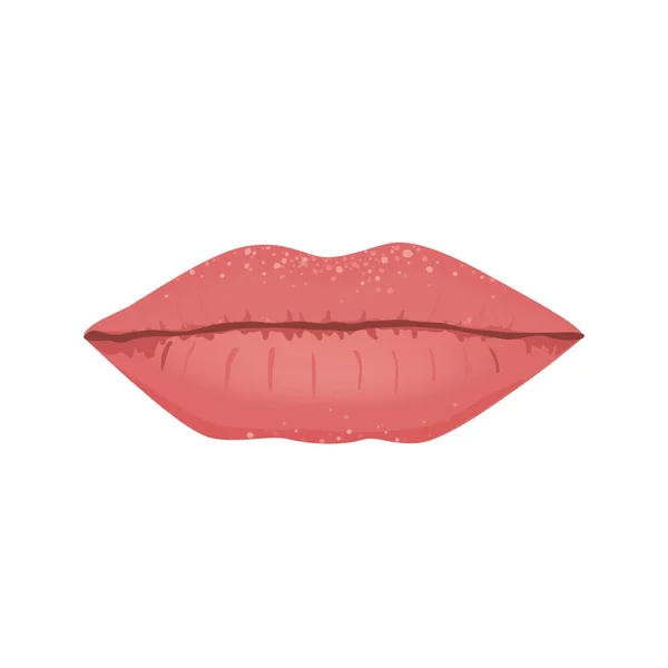 Fordyce Spots Female Lips Απομονωμένη Διανυσματική Απεικόνιση Κόκκοι Fordyce — Διανυσματικό Αρχείο
