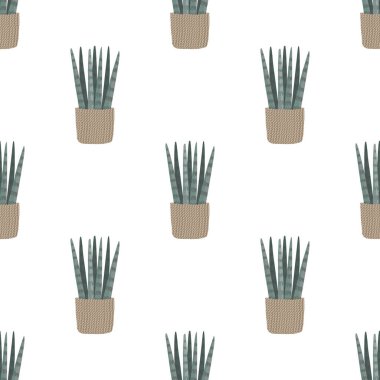 Sansevieria silindiri. Dikensiz sepet şeklinde. Silindirik yılan fabrikası, Spear Sansevieria dokusu, vektör illüstrasyonu