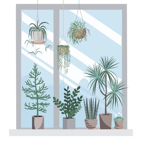 窗台上挂着家用植物和室内植物 舒适的家居或办公室设计元素 用平面样式表示的矢量孤立图 — 图库矢量图片