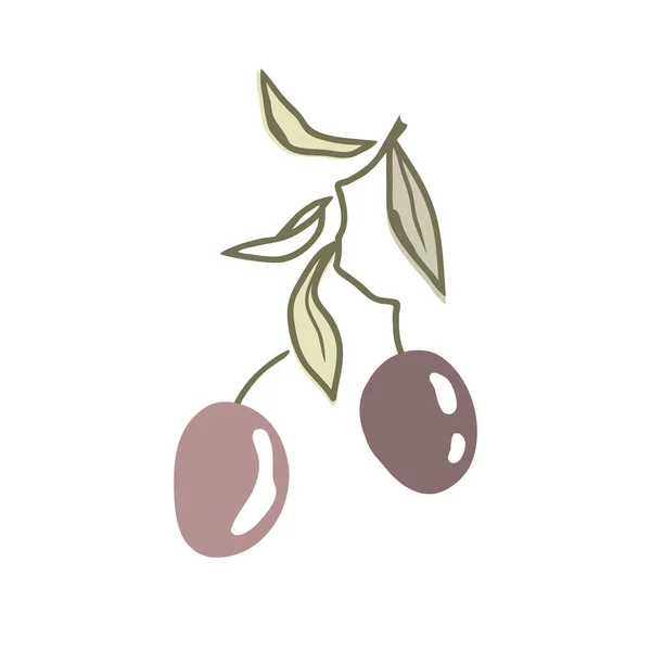 2つの果物や葉を持つオリーブの枝 ドアの手のスタイルを描いた ベクトル絶縁イラスト プレミアムオリーブオイルのロゴ — ストックベクタ