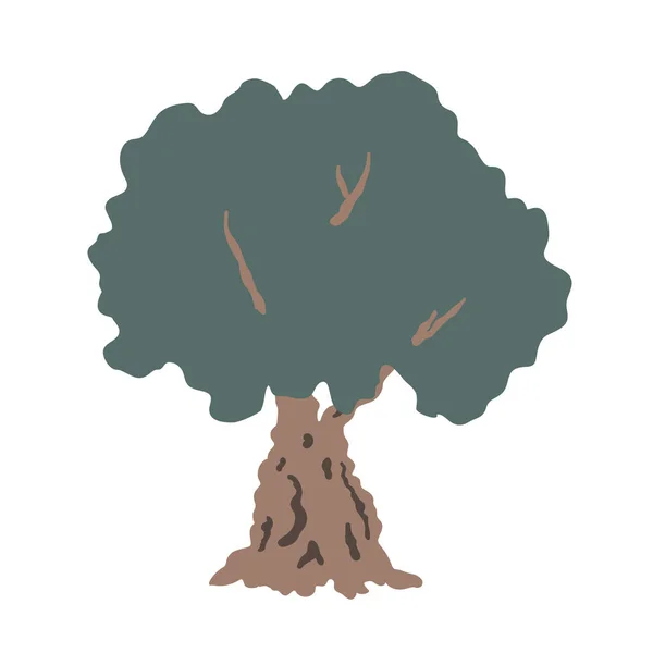 Ręcznie Rysowane Drzewo Oliwne Ilustracja Bazgrołów Wektora Kreskówki Izolowany Wektor — Wektor stockowy