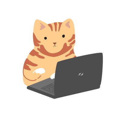 Komik şirin kedi dizüstü bilgisayarda çalışıyor. IT mühendisi sembolü, kartlar ve tişörtler için programcı çıkartması. İzole vektör illüstrasyonu