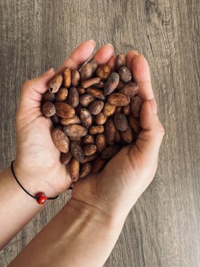 Female hands holding a handful of cocoa beans. Table top view. clipart