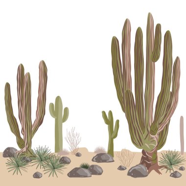 Saguaro ve dev cardon kaktüsüyle çölsüz desen. Vahşi Amerika Batı manzarası. Vektör illüstrasyonu.
