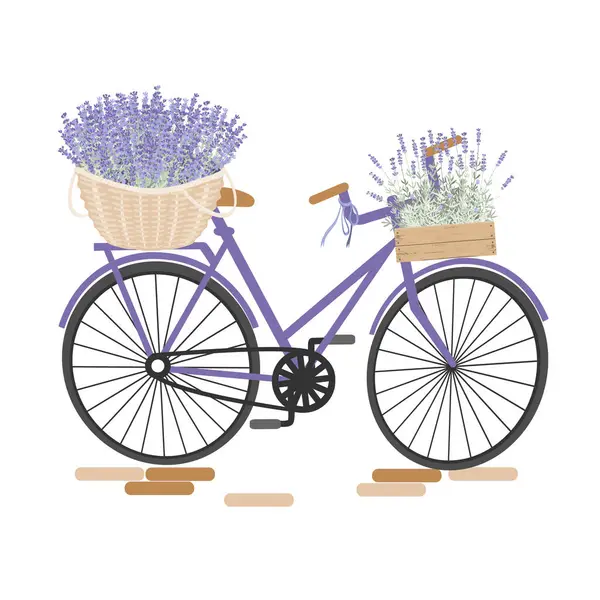 Lavanta sepetli bisiklet. Retro Provence tasarım elementi. İzole vektör illüstrasyonu
