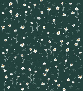 Meadow çiçek arka planı. Papatya ya da papatya çiçekli otlar. Yaz pikniği kavramı. Vektör illüstrasyonu