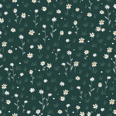 Çayır çiçekleri pürüzsüz desen. Papatya ya da papatya çiçekli otlar. Yaz alanları arka planı. Vektör çizgi film illüstrasyonu.