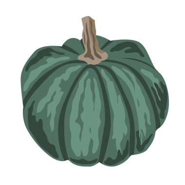 Beyaz üzerine izole edilmiş şirin, küçük bir balkabağı çizimi. Vektör çizimi.