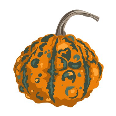 Beyaza izole edilmiş komik küçük desenli balkabağı çizimi. Sivilceli ve siğilli vektör çizimi.