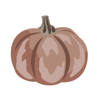 Beyaz üzerine izole edilmiş şirin, küçük bir balkabağı çizimi. Vektör çizimi