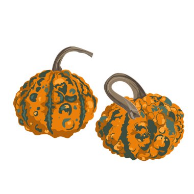 Beyaza izole edilmiş komik küçük desenli balkabağı kompozisyonu. Sivilceli ve siğilli vektör çizimi.