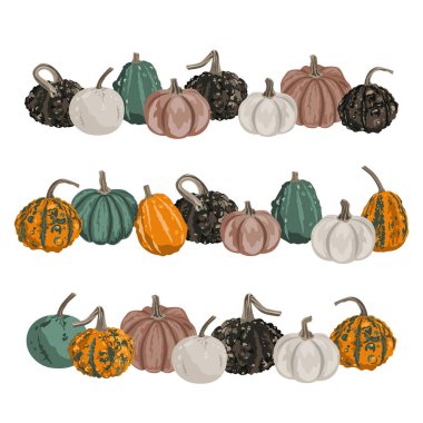 Bir çift balkabağı sınır çelengi. Bileşimi beyazda izole edilmiş. Sıcak, küçük su kabakları sonbahar süslemeleri. Vektör kabağı çizimi.