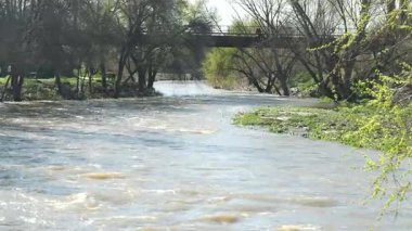 Doğa güçlü nehir hareketine tepki verir.
