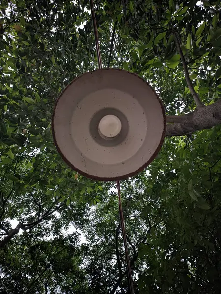 Çürümüş metal bir lamba, yemyeşil yapraklarla çevrili bir ağaçtan sarkıyor, bahçe dekorasyonu için mükemmel ya da sanatsal bir açık hava aksanı olarak..