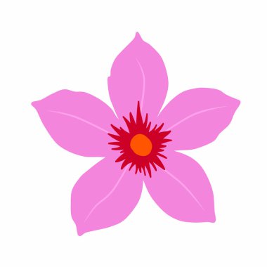 Pembe çiçek, illüstrasyon, beyaz arkaplanda vektör.