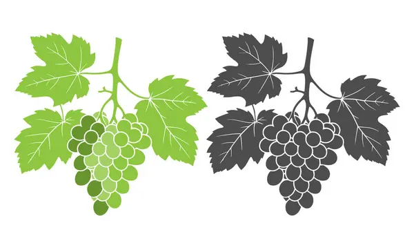 Yapraklı bir demet üzüm ve renkli vektör çizimi.