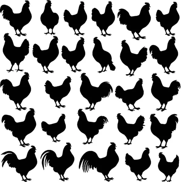 Tavuk siyah izole edilmiş beyaz arka plan horozları siluet vektörü ayarlandı