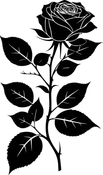 Beyaz arkaplan vektörü illüstrasyonunda siyah beyaz gül silueti.