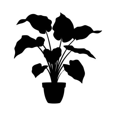 Bir taro bitkisinin silüeti ve siyah bir vektör çizimi..