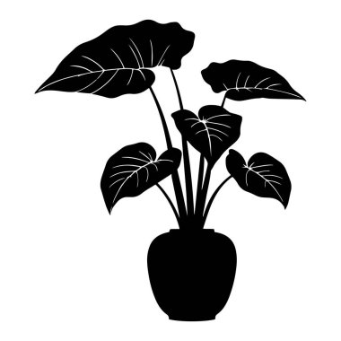 Bir taro bitkisinin silüeti ve siyah bir vektör çizimi..