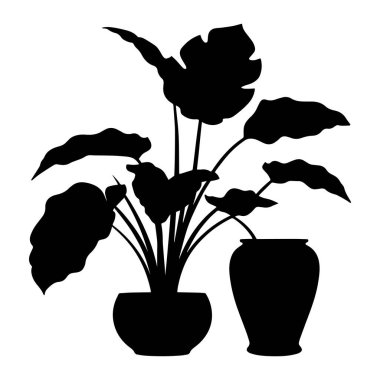 Bir taro bitkisinin silüeti ve siyah bir vektör çizimi..