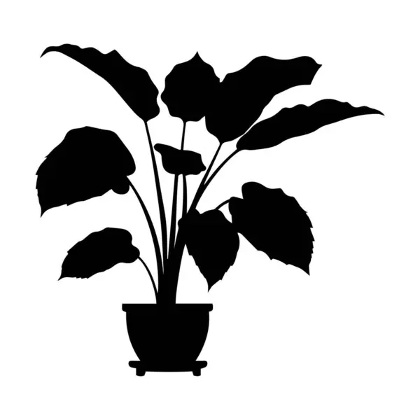 Bir taro bitkisinin silüeti ve siyah bir vektör çizimi..