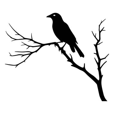 Beyaz arkaplan sembolü üzerindeki kuş silueti siyah vektör çizimi.