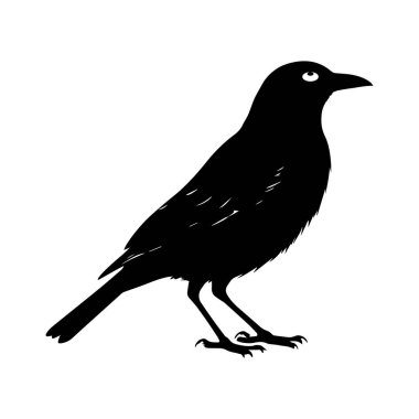 Beyaz arkaplan sembolü üzerindeki kuş silueti siyah vektör çizimi.