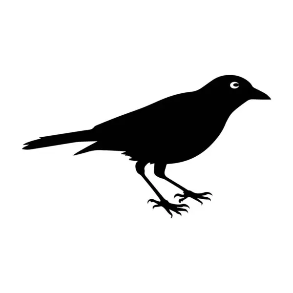 Beyaz arkaplan sembolü üzerindeki kuş silueti siyah vektör çizimi.