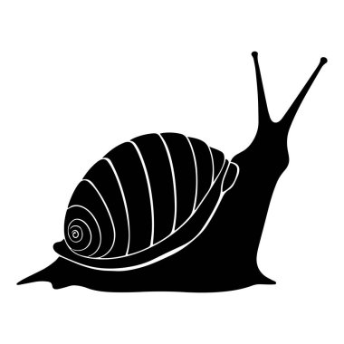 Beyaz arkaplanda deniz salyangozu silueti siyah vektör çizimi.